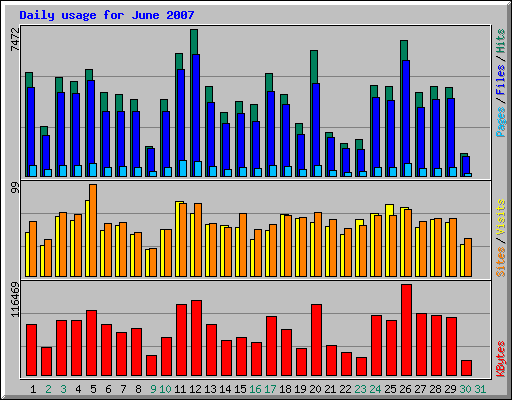 Daily usage for June 2007