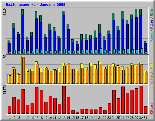 Daily usage for January 2008