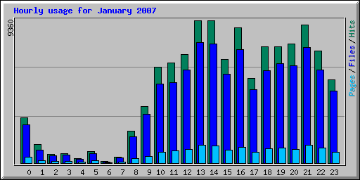 Hourly usage for January 2007