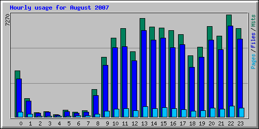 Hourly usage for August 2007