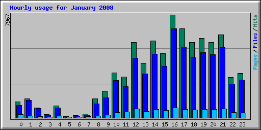 Hourly usage for January 2008